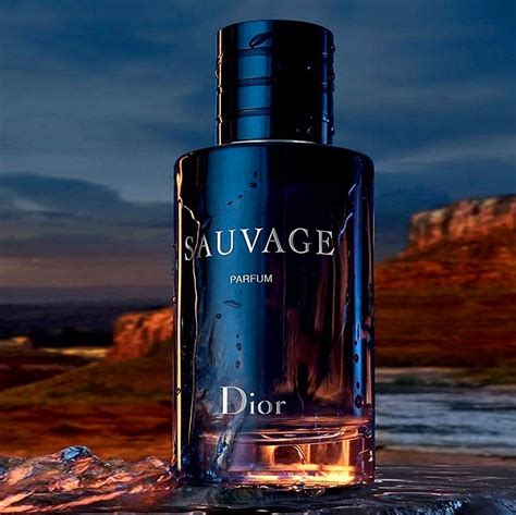 dior parfum teuer|dior perfume website.